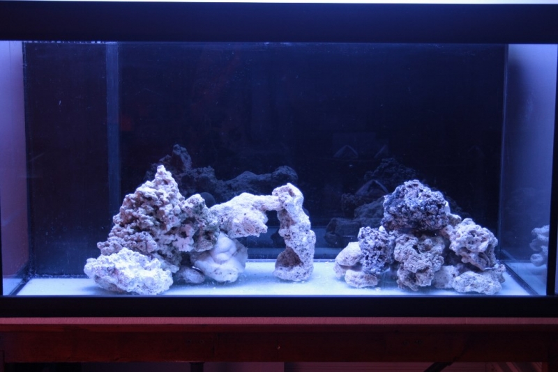 Layout 1