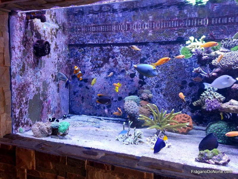 2013-01-28 12.15.03-002