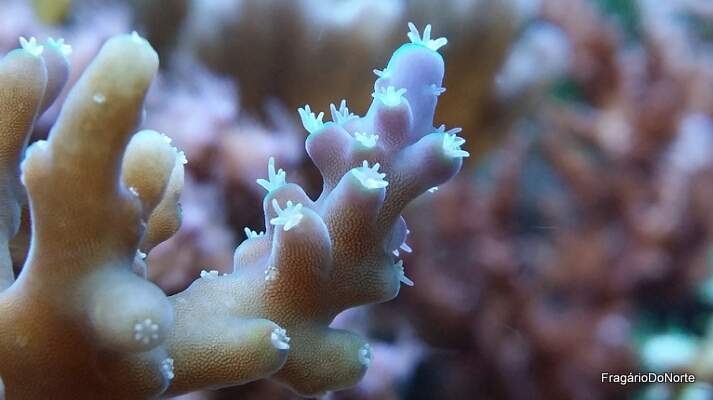 2014-01-18 23.27.30-1