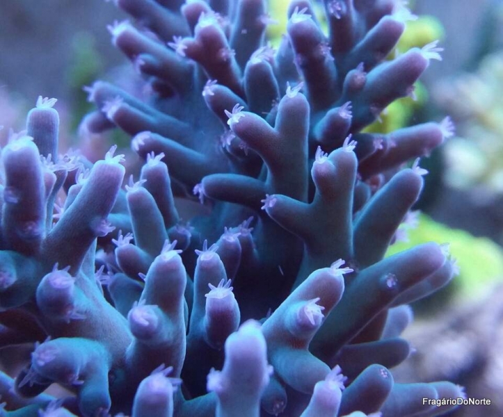 2014-01-18 23.28.06-1