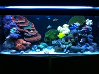 REEF CRUZ