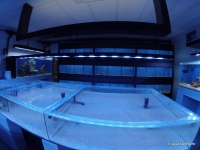 GOPR0068