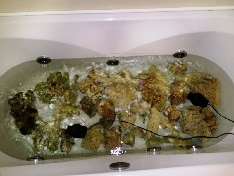 20150213 223151 recife