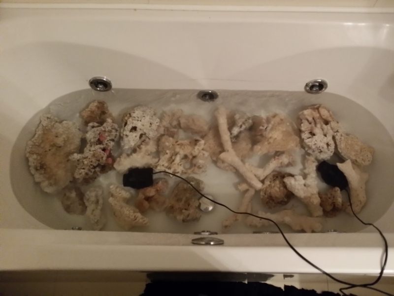 20150216 194223 recife