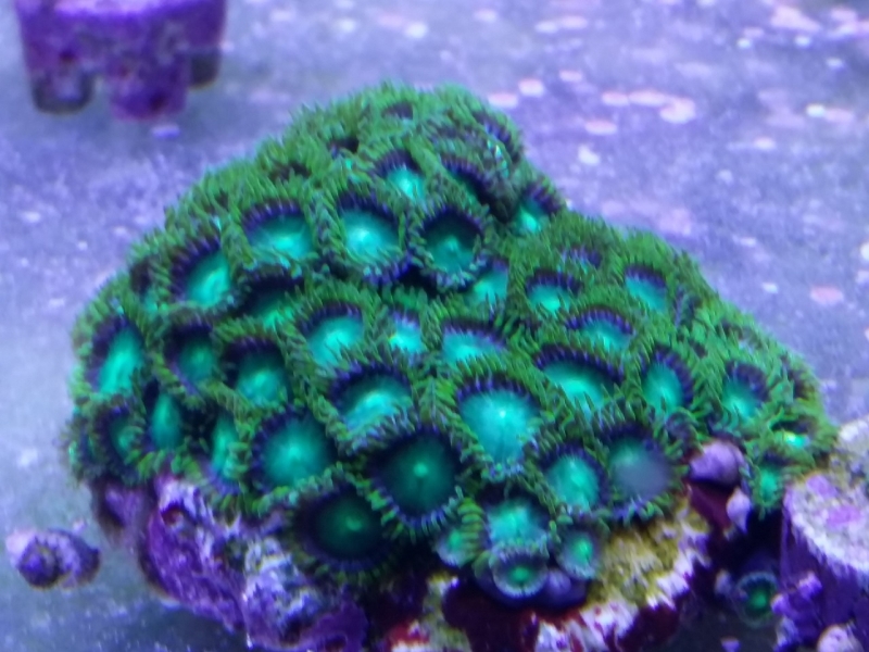 20151205 185151