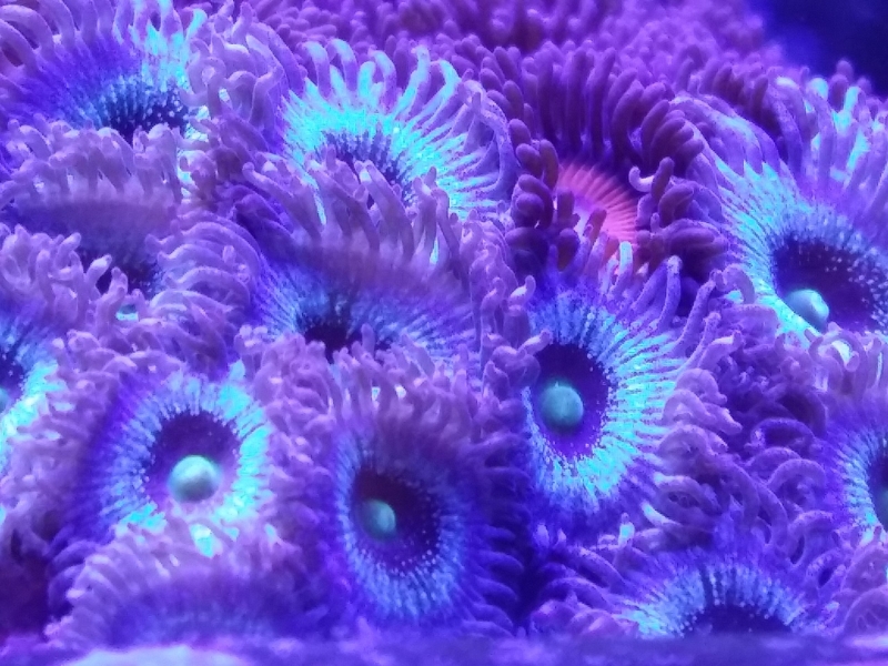 20151205 212417