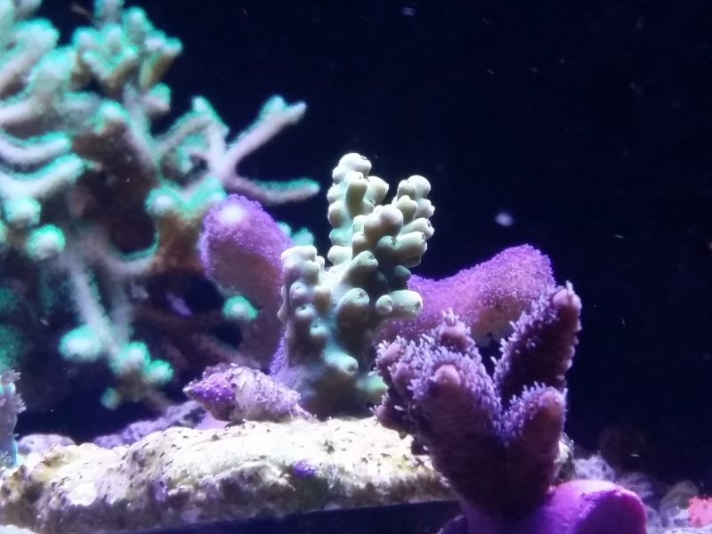 20151205 185648