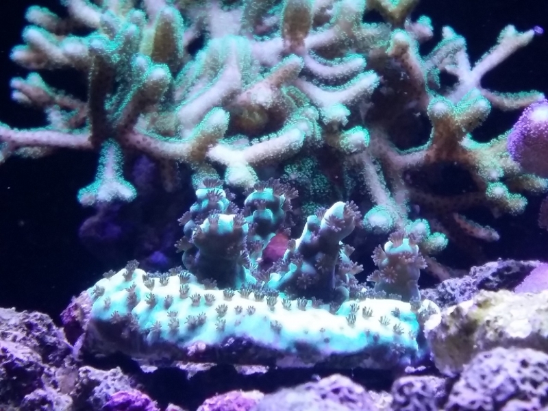 20151205 185715