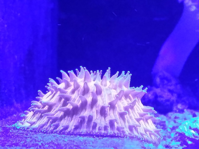 20151205 211420