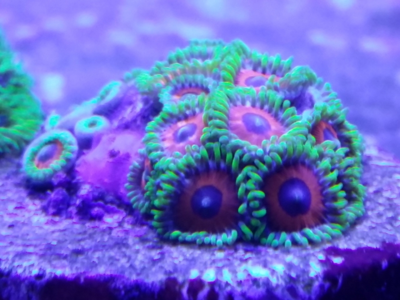 20151205 212355