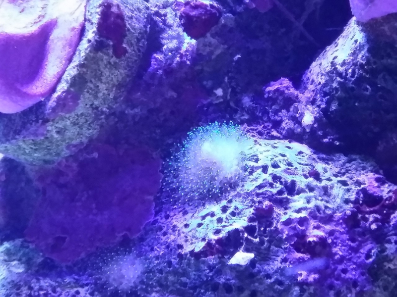 20151205 212943