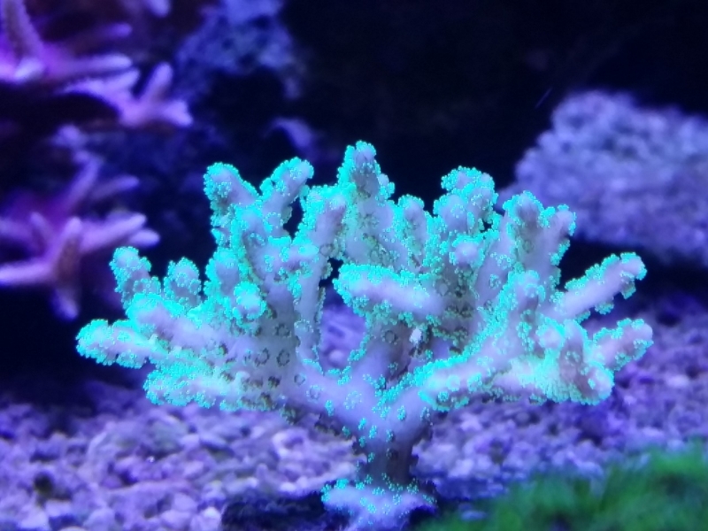 20151205 213015