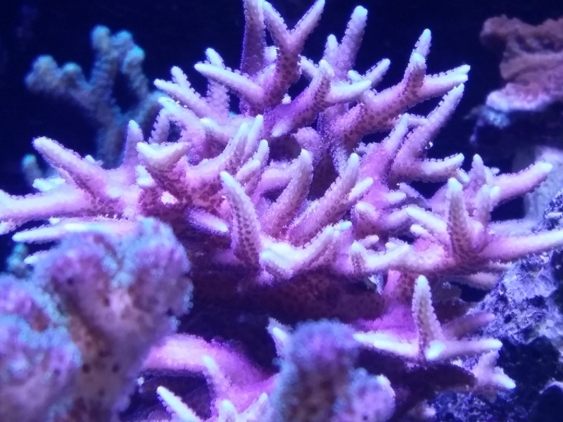 20151205 213024