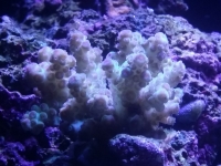 20151215 230813