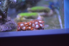 DSC 0189