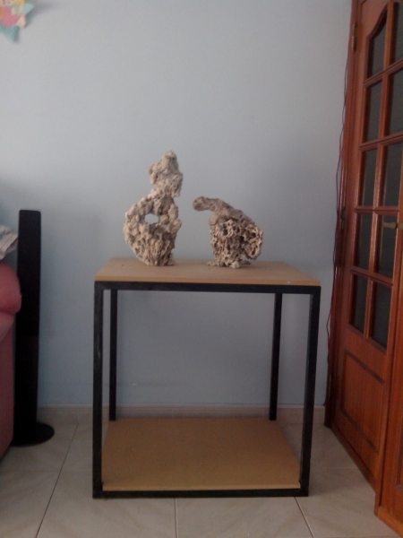 IMG 20140609 175832 (Large)