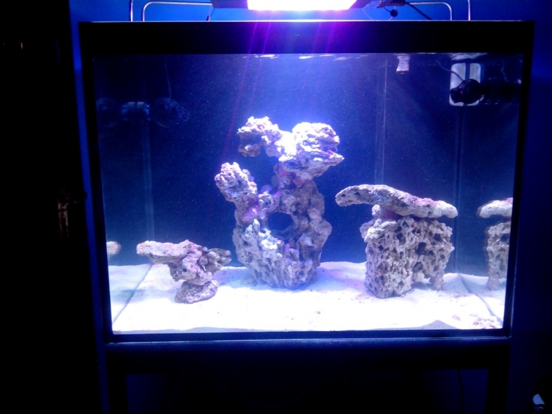 IMG 20140626 212715 (Large)