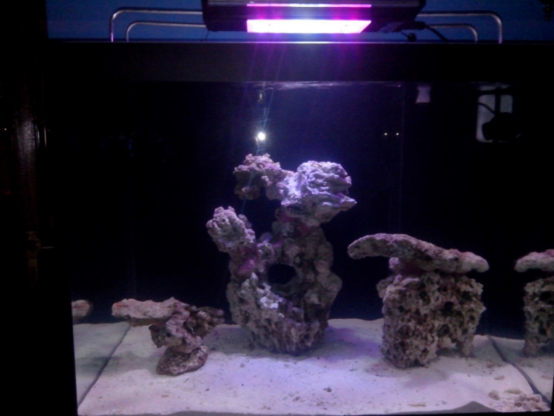 IMG 20140626 213006 (Large)