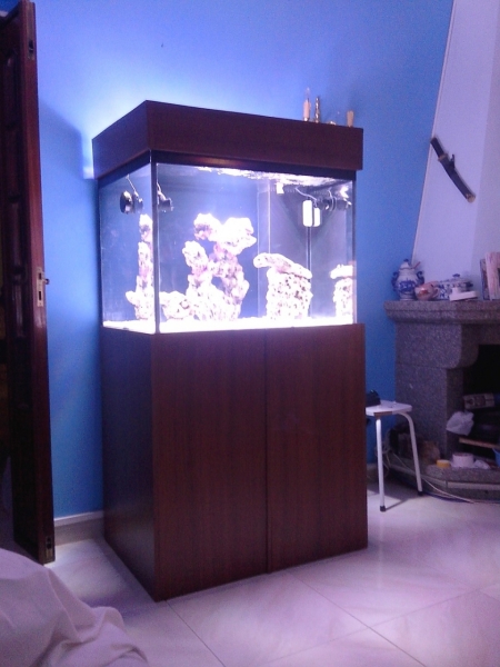 IMG 20140705 210001 (Large)