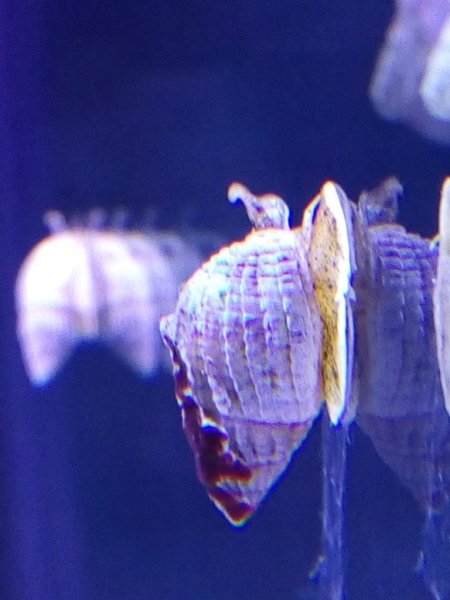 IMG 20140706 082253 (Large)