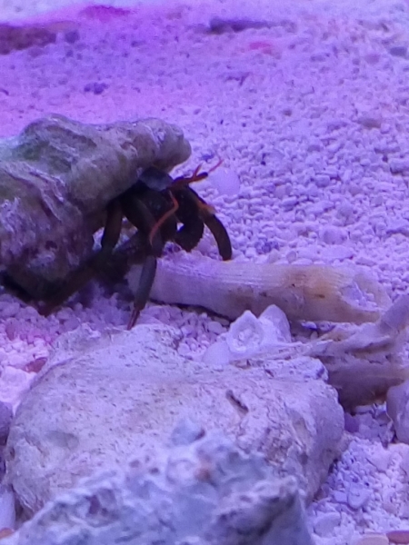 IMG 20140706 083704 (Large)