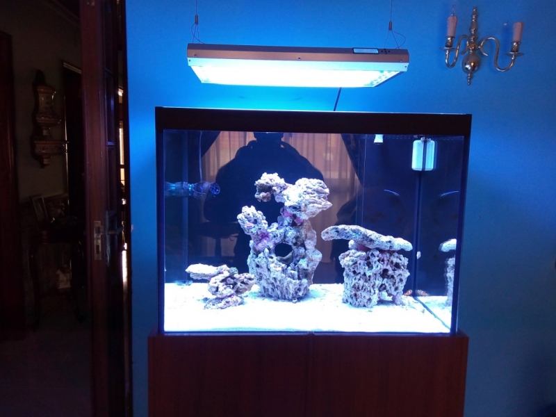 IMG 20140718 105950 (Large)