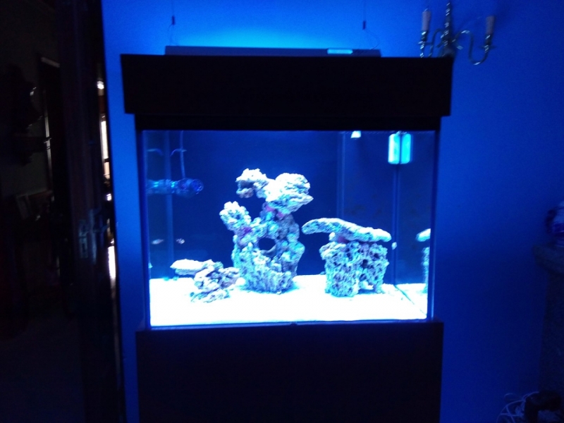 IMG 20140718 110210 (Large)