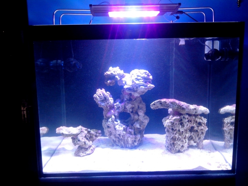 IMG 20140626 213029 (Large)