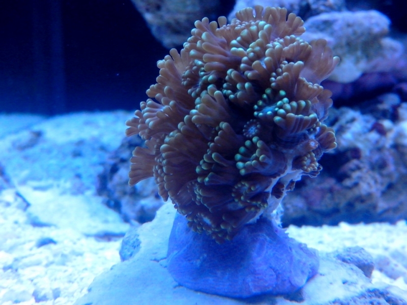 IMG 20140720 203129 (Large)