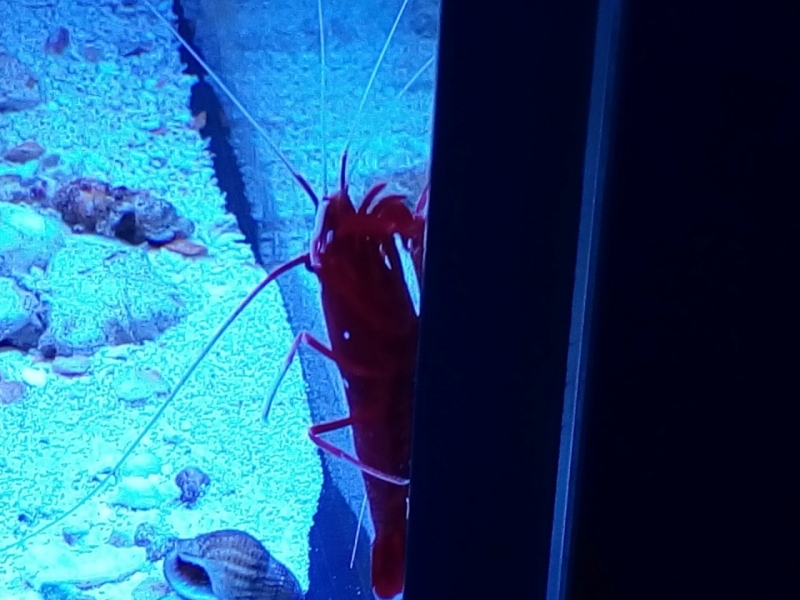 IMG 20140724 221616 (Large)