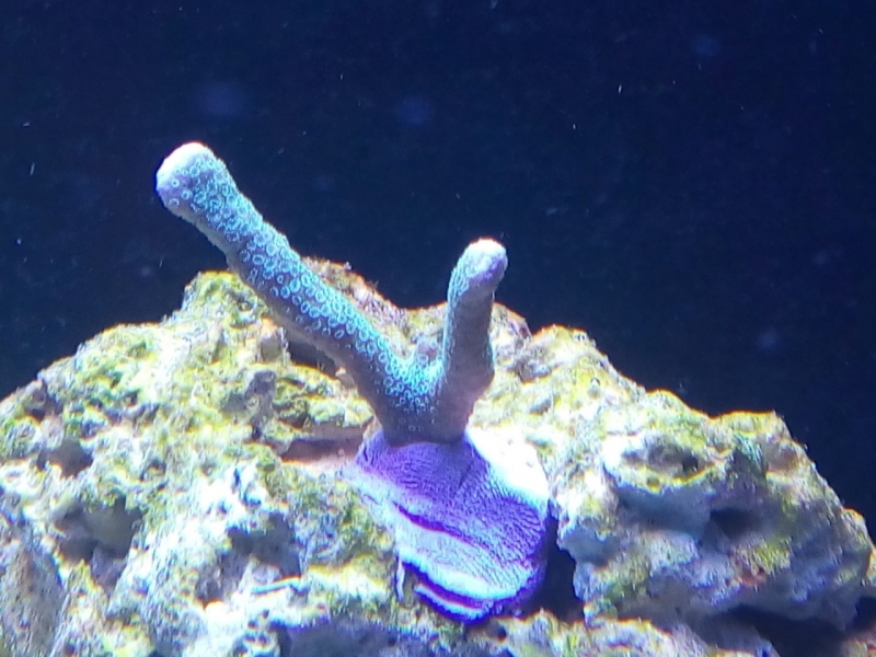 IMG 20140726 183705 (Large)