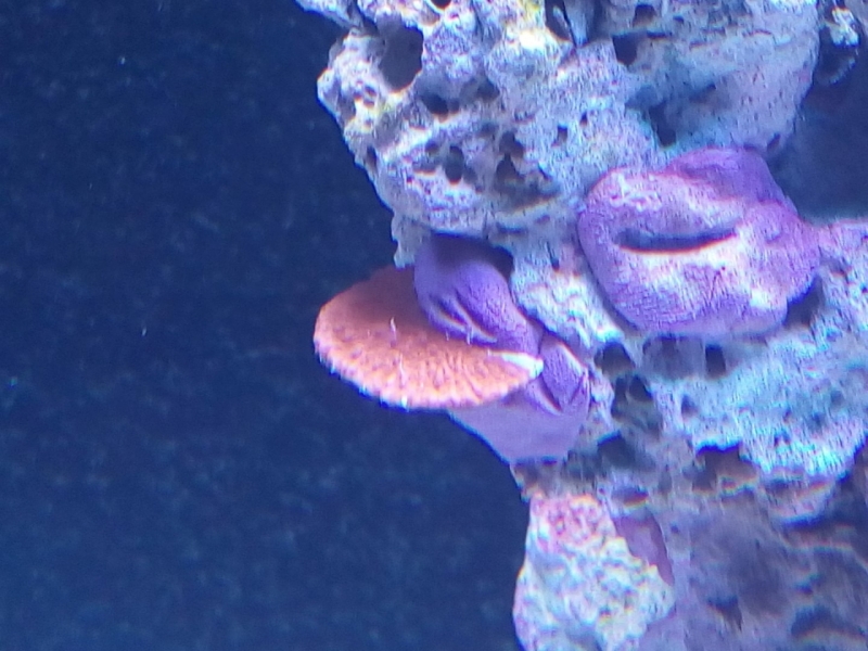 IMG 20140726 183716 (Large)