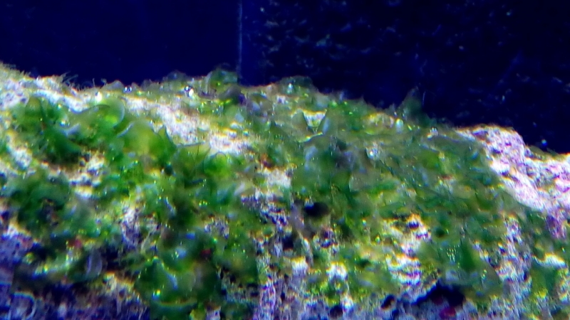 IMG 20140803 214722 (Large)