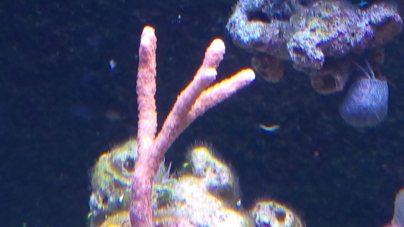 IMG 20140803 214832 (Large)