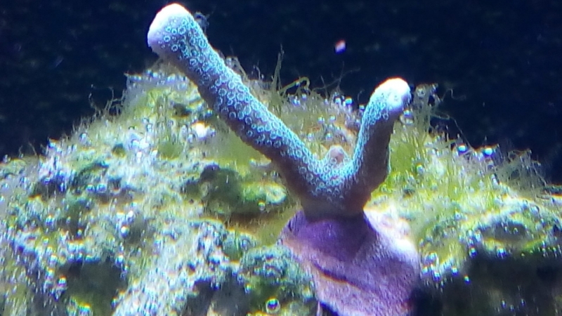 IMG 20140803 214912 (Large)