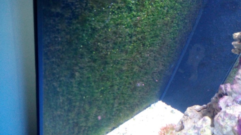 IMG 20140803 214705 (Large) (Medium) (Small)