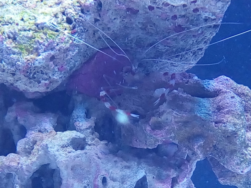 IMG 20140725 223636 (Large)