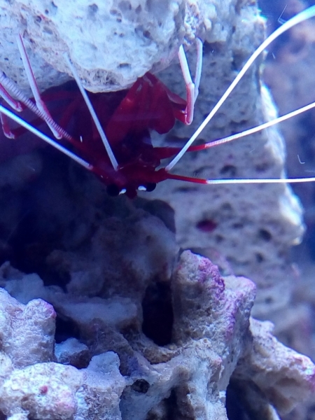 IMG 20140725 223927 (Large)