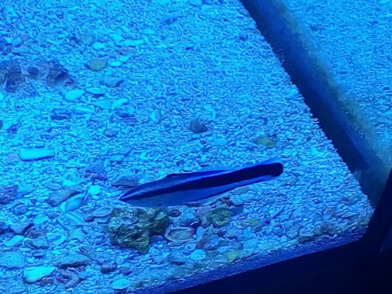 IMG 20140726 184041 (Large)