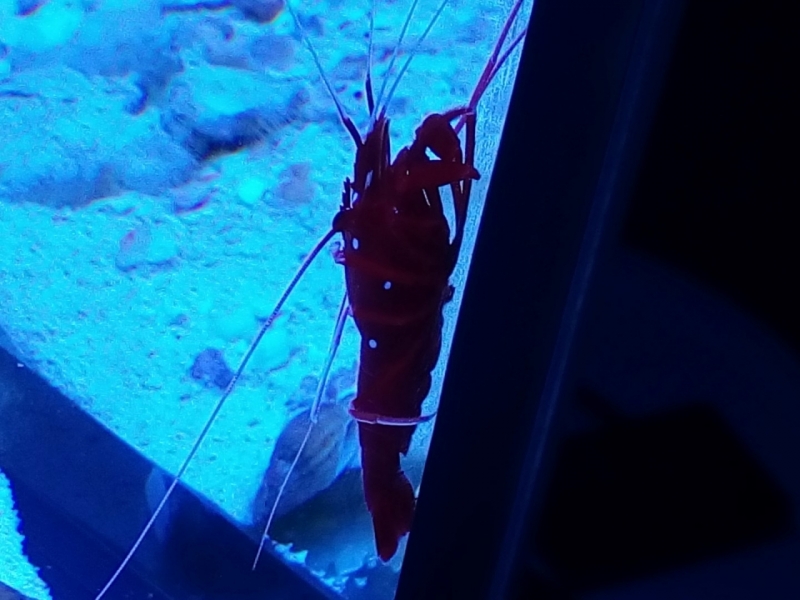 IMG 20140724 221635 (Large)