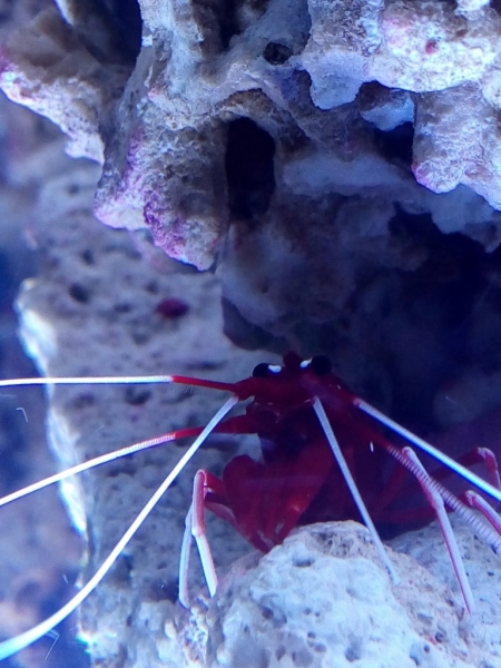 IMG 20140725 223927 (Large)