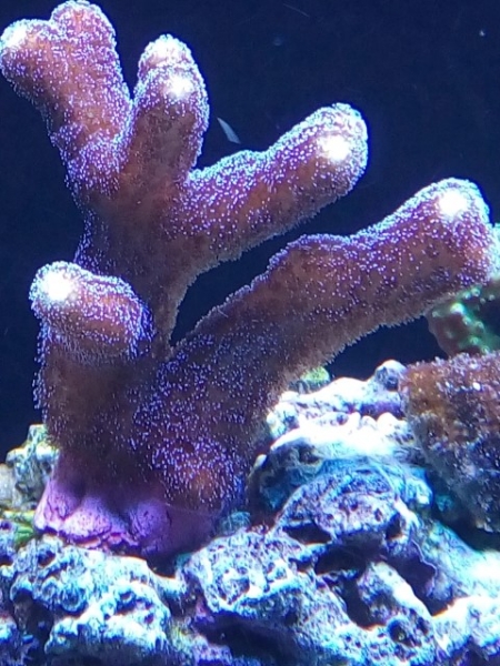 IMG 20140919 174148 (Small)