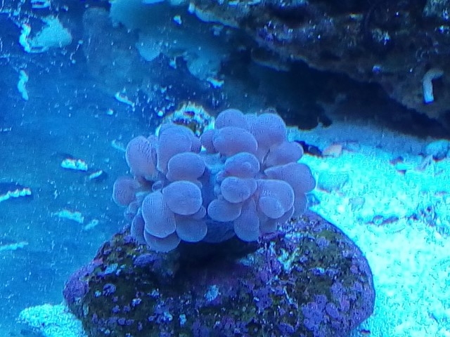 IMG 20140919 173853 (Small)