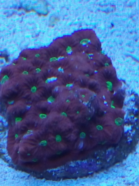 IMG 20140919 174529 (Small)