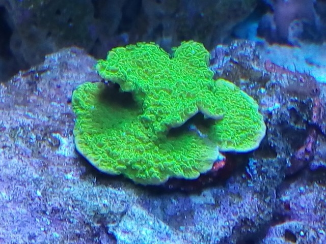 IMG 20140919 174023 (Small)