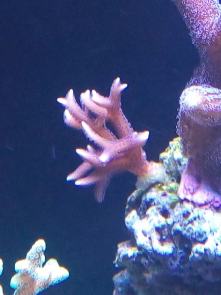 IMG 20140919 174337 (Small)