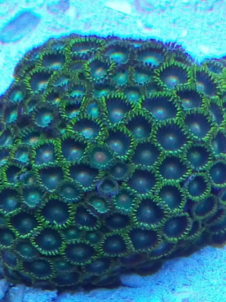 IMG 20140919 174515 (Small)