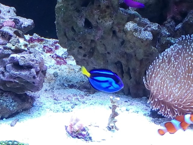 IMG 20140910 181826 (Small)