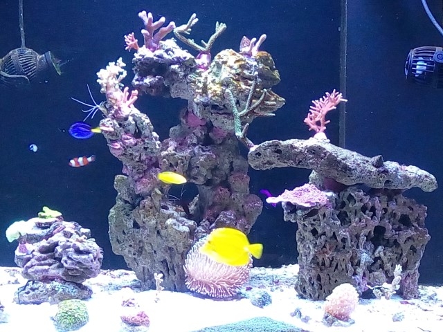 IMG 20140910 181739 (Small)