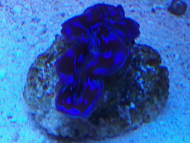 IMG 20141017 204313 (Small)